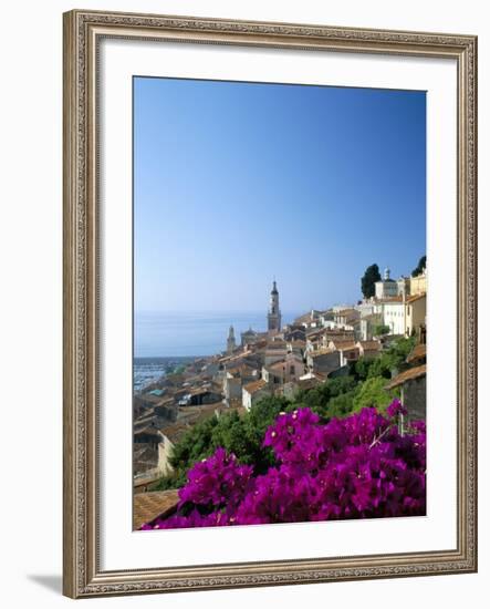 Bougainvillea in Flower, Menton, Alpes-Maritimtes, Cote d'Azur, Provence, French Riviera, France-Ruth Tomlinson-Framed Photographic Print