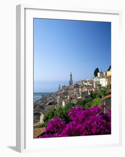 Bougainvillea in Flower, Menton, Alpes-Maritimtes, Cote d'Azur, Provence, French Riviera, France-Ruth Tomlinson-Framed Photographic Print