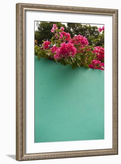 Bougainvillea, Tropical Flowers, Roatan, Honduras-Lisa S. Engelbrecht-Framed Photographic Print