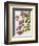 Bougainvillea-John Miller-Framed Premium Giclee Print