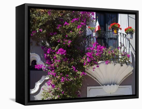 Bouganvilla Blooming, San Miguel De Allende, Guanajuato State, Mexico-Julie Eggers-Framed Premier Image Canvas