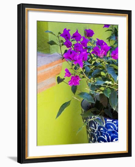 Bouganvilla in a Ceramic Pot, San Miguel De Allende, Guanajuato State, Mexico-Julie Eggers-Framed Photographic Print