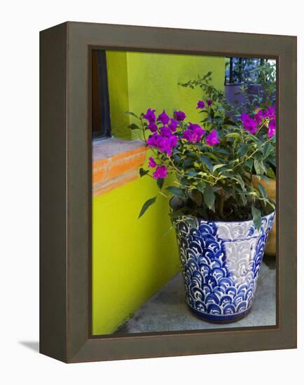 Bouganvilla in a Ceramic Pot, San Miguel De Allende, Guanajuato State, Mexico-Julie Eggers-Framed Premier Image Canvas