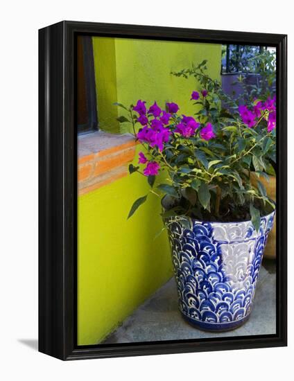 Bouganvilla in a Ceramic Pot, San Miguel De Allende, Guanajuato State, Mexico-Julie Eggers-Framed Premier Image Canvas