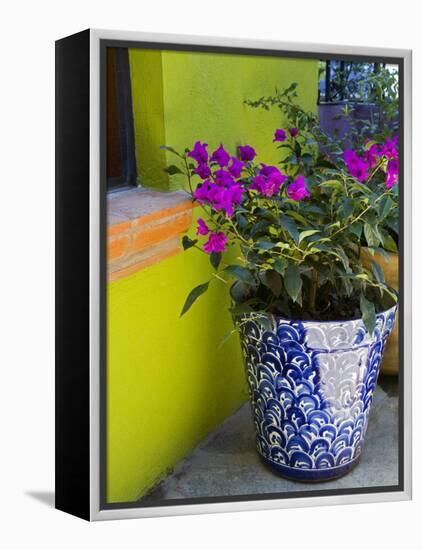 Bouganvilla in a Ceramic Pot, San Miguel De Allende, Guanajuato State, Mexico-Julie Eggers-Framed Premier Image Canvas