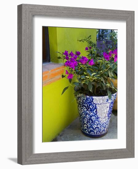 Bouganvilla in a Ceramic Pot, San Miguel De Allende, Guanajuato State, Mexico-Julie Eggers-Framed Photographic Print