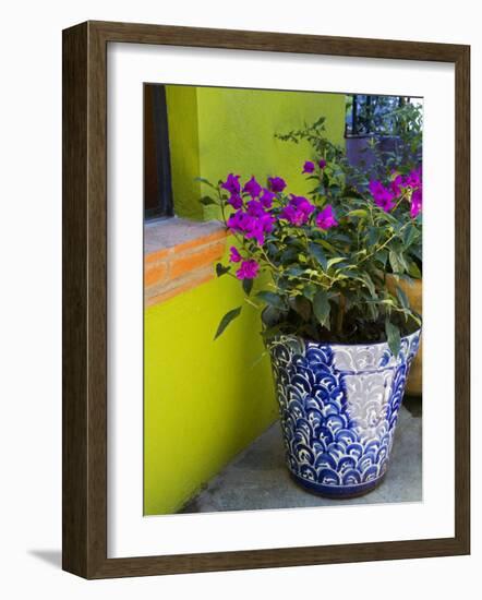 Bouganvilla in a Ceramic Pot, San Miguel De Allende, Guanajuato State, Mexico-Julie Eggers-Framed Photographic Print