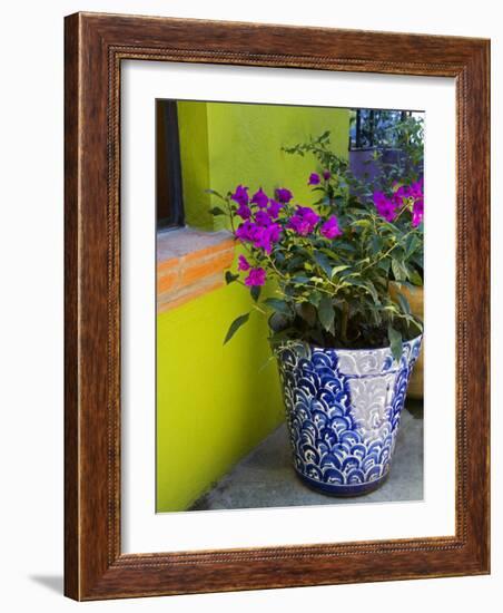 Bouganvilla in a Ceramic Pot, San Miguel De Allende, Guanajuato State, Mexico-Julie Eggers-Framed Photographic Print