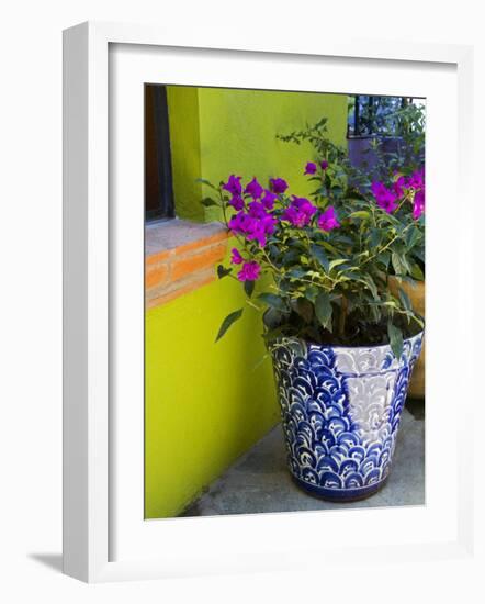 Bouganvilla in a Ceramic Pot, San Miguel De Allende, Guanajuato State, Mexico-Julie Eggers-Framed Photographic Print