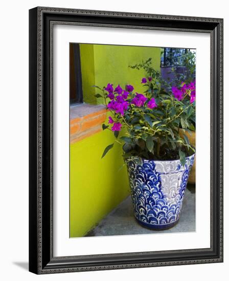 Bouganvilla in a Ceramic Pot, San Miguel De Allende, Guanajuato State, Mexico-Julie Eggers-Framed Photographic Print