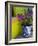 Bouganvilla in a Ceramic Pot, San Miguel De Allende, Guanajuato State, Mexico-Julie Eggers-Framed Photographic Print