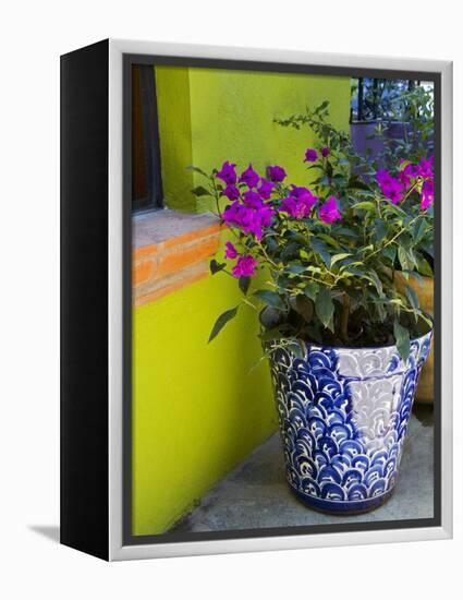 Bouganvilla in a Ceramic Pot, San Miguel De Allende, Guanajuato State, Mexico-Julie Eggers-Framed Premier Image Canvas