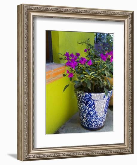 Bouganvilla in a Ceramic Pot, San Miguel De Allende, Guanajuato State, Mexico-Julie Eggers-Framed Photographic Print