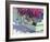 Bouganvillaea, Zante, 1999-Andrew Macara-Framed Giclee Print