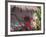 Bougenvilla Blooms Underneath a Thatch Roof, Puerto Vallarta, Mexico-Merrill Images-Framed Photographic Print