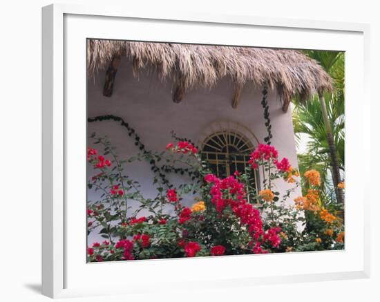 Bougenvilla Blooms Underneath a Thatch Roof, Puerto Vallarta, Mexico-Merrill Images-Framed Photographic Print