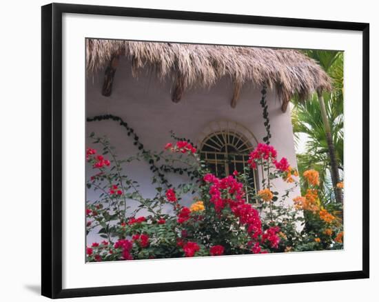 Bougenvilla Blooms Underneath a Thatch Roof, Puerto Vallarta, Mexico-Merrill Images-Framed Photographic Print