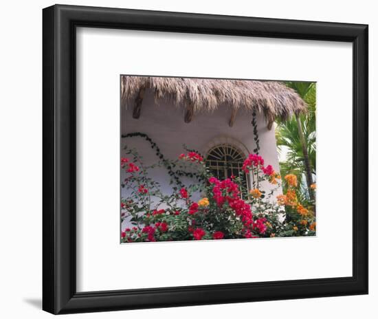 Bougenvilla Blooms Underneath a Thatch Roof, Puerto Vallarta, Mexico-Merrill Images-Framed Photographic Print