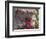 Bougenvilla Blooms Underneath a Thatch Roof, Puerto Vallarta, Mexico-Merrill Images-Framed Photographic Print