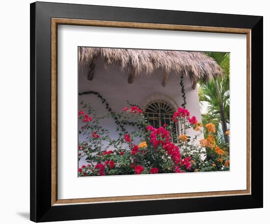 Bougenvilla Blooms Underneath a Thatch Roof, Puerto Vallarta, Mexico-Merrill Images-Framed Photographic Print