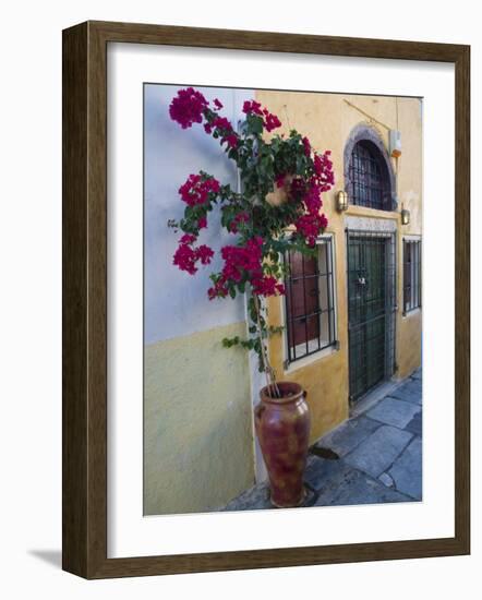 Bougenvillia Vine in Pot, Oia, Santorini, Greece-Darrell Gulin-Framed Photographic Print