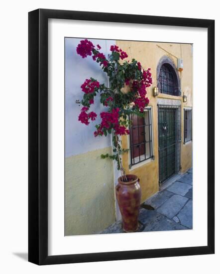 Bougenvillia Vine in Pot, Oia, Santorini, Greece-Darrell Gulin-Framed Photographic Print