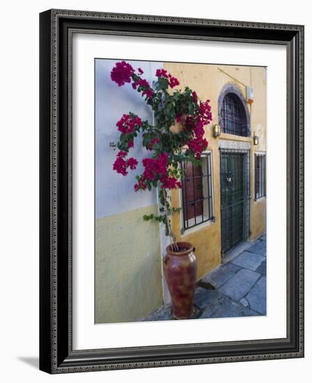 Bougenvillia Vine in Pot, Oia, Santorini, Greece-Darrell Gulin-Framed Photographic Print