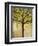 Boughs in Leaf-Blenda Tyvoll-Framed Giclee Print