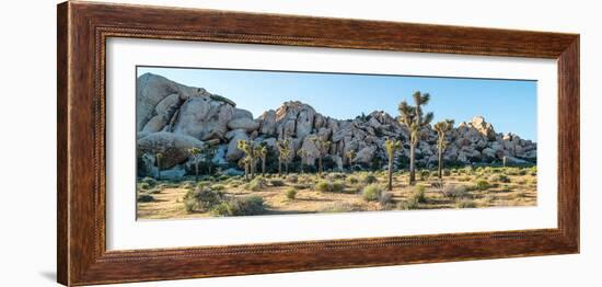 Boulder and Joshua trees in a desert, Joshua Tree National Park, San Bernardino County, Riversid...-null-Framed Photographic Print