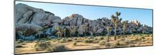 Premium Photographic Print