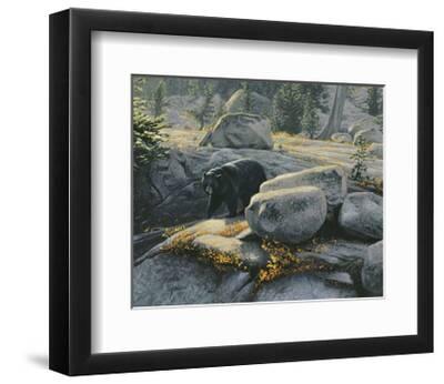 BEAR ART PRINT Boulder Bruin by Stephen Lyman 22x24 Black Bear Wildlife Poster 
