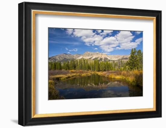 Boulder Mountains in Autumn, Big Wood River, Sawtooth NF, Idaho-Michel Hersen-Framed Photographic Print