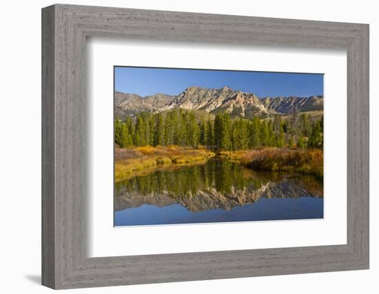 Boulder Mountains in Autumn, Big Wood River, Sawtooth NF, Idaho-Michel Hersen-Framed Photographic Print