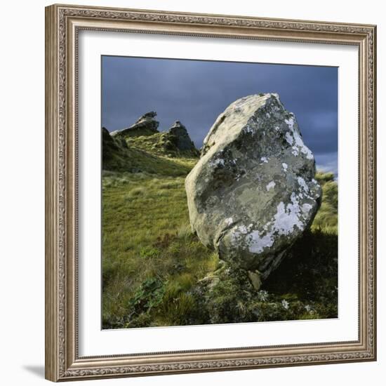 Boulder on a Hillside-Micha Pawlitzki-Framed Photographic Print