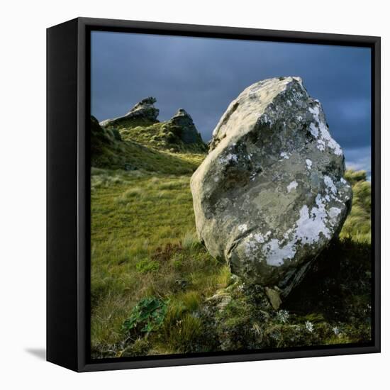 Boulder on a Hillside-Micha Pawlitzki-Framed Premier Image Canvas