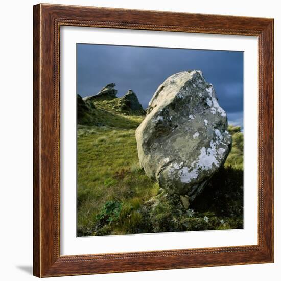 Boulder on a Hillside-Micha Pawlitzki-Framed Photographic Print