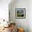 Boulder on a Hillside-Micha Pawlitzki-Framed Photographic Print displayed on a wall