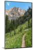 Boulder Pass Trail Glacier National Park, Montana-Alan Majchrowicz-Mounted Photographic Print