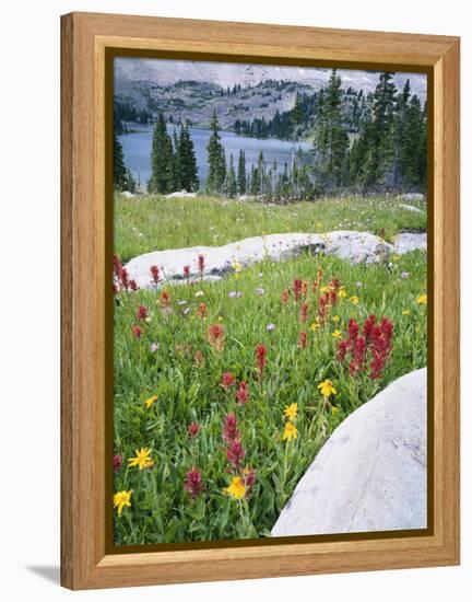 Boulders Amid Wildflowers, Ryder Lake, High Uintas Wilderness, Wasatch National Forest, Utah, USA-Scott T^ Smith-Framed Premier Image Canvas