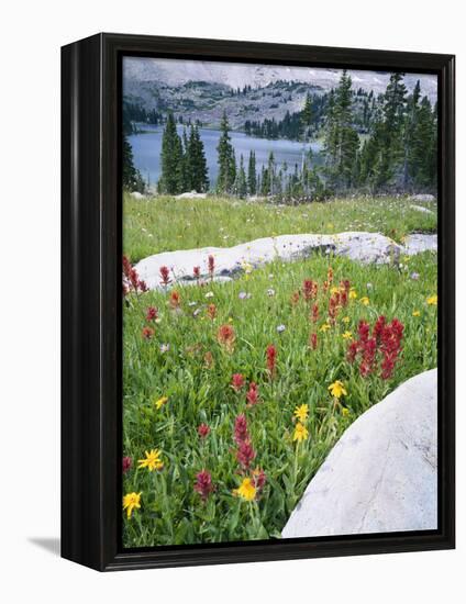 Boulders Amid Wildflowers, Ryder Lake, High Uintas Wilderness, Wasatch National Forest, Utah, USA-Scott T^ Smith-Framed Premier Image Canvas