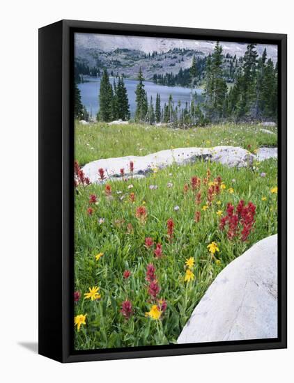 Boulders Amid Wildflowers, Ryder Lake, High Uintas Wilderness, Wasatch National Forest, Utah, USA-Scott T^ Smith-Framed Premier Image Canvas