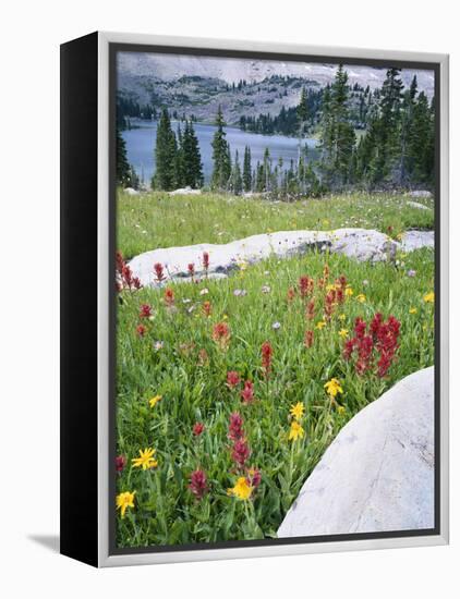 Boulders Amid Wildflowers, Ryder Lake, High Uintas Wilderness, Wasatch National Forest, Utah, USA-Scott T^ Smith-Framed Premier Image Canvas