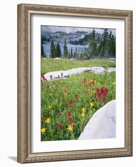 Boulders Amid Wildflowers, Ryder Lake, High Uintas Wilderness, Wasatch National Forest, Utah, USA-Scott T^ Smith-Framed Photographic Print