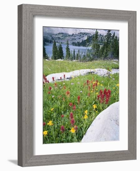 Boulders Amid Wildflowers, Ryder Lake, High Uintas Wilderness, Wasatch National Forest, Utah, USA-Scott T^ Smith-Framed Photographic Print