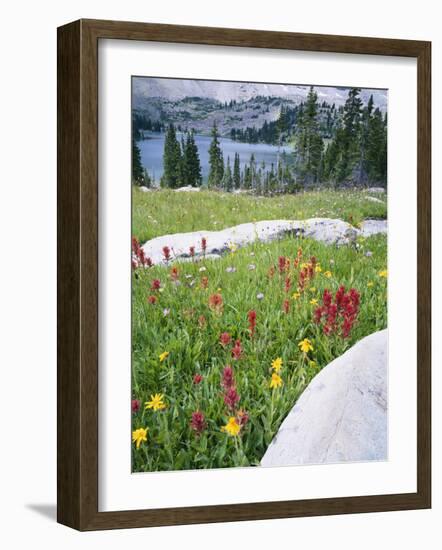 Boulders Amid Wildflowers, Ryder Lake, High Uintas Wilderness, Wasatch National Forest, Utah, USA-Scott T^ Smith-Framed Photographic Print