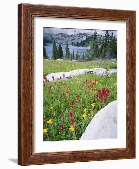 Boulders Amid Wildflowers, Ryder Lake, High Uintas Wilderness, Wasatch National Forest, Utah, USA-Scott T^ Smith-Framed Photographic Print