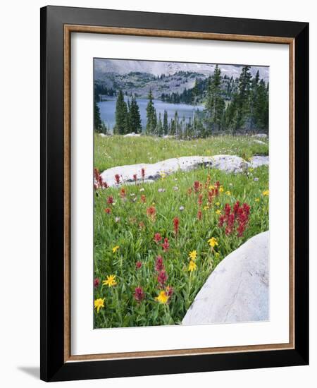 Boulders Amid Wildflowers, Ryder Lake, High Uintas Wilderness, Wasatch National Forest, Utah, USA-Scott T^ Smith-Framed Photographic Print