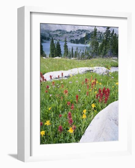 Boulders Amid Wildflowers, Ryder Lake, High Uintas Wilderness, Wasatch National Forest, Utah, USA-Scott T^ Smith-Framed Photographic Print