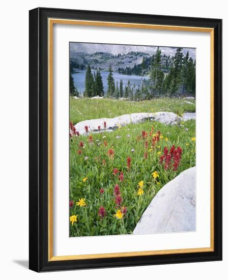 Boulders Amid Wildflowers, Ryder Lake, High Uintas Wilderness, Wasatch National Forest, Utah, USA-Scott T^ Smith-Framed Photographic Print