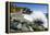 Boulders and Crashing Surf, Limekiln State Park, Big Sur, California, Usa-Russ Bishop-Framed Premier Image Canvas